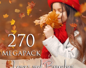 270 Autumn leaves and Branches overlays, Png files