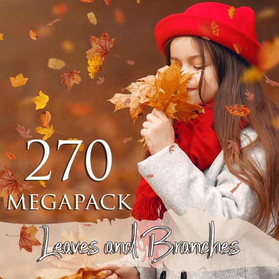 270 Autumn leaves and Branches overlays, Png files