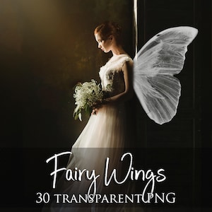 30 Fairy wings overlays, Transparent PNG