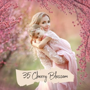 35 桜のオーバーレイ