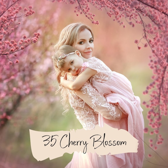 35 Cherry blossom overlays