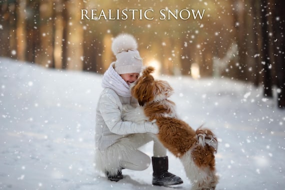 50 Snow overlays, realistic light snow overlays, falling snow overlays, transparent snow, PNG