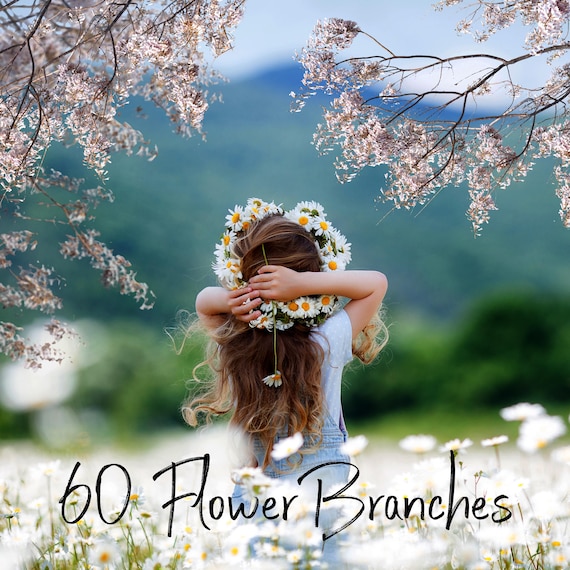 60 Flower branches overlays PNG