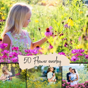 50 Flowers overlay, Transparent PNG
