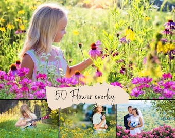 50 Flowers overlay, Transparent PNG