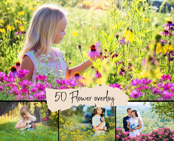 50 Flowers overlay