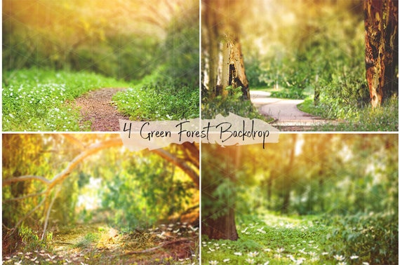 4 Green forest high quality backdrops