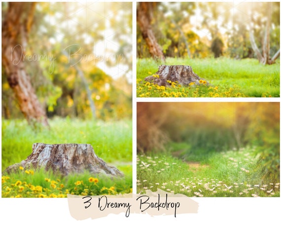3 Dreamy forest backdrops