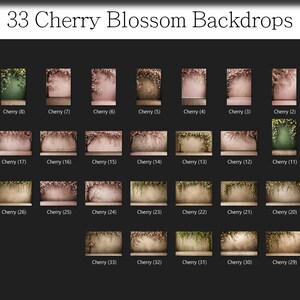 33 Sakura Studio Backdrops , Cherry Blossoms Backrops, Blooming Spring ...