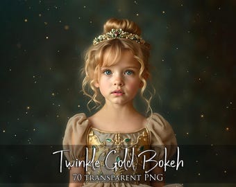 70 Twinkle bokeh overlays, twinkle lights overlay, Transparent PNG + JPG