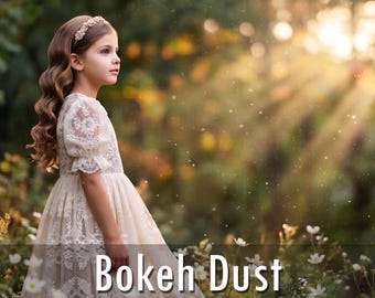 40 Bokeh Dust Photo Overlays - Magical Sparkle Effects, Transparent PNG & JPG