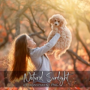 May include: A woman holding a small, fluffy, apricot-coloured dog in the sunlight. The image has a warm, golden glow, with the text "Natural Sunlight" and "65 Transparent PNG" at the bottom.