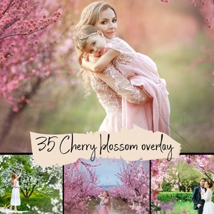 35 Cherry blossom overlays