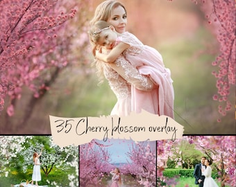35 superpositions de fleurs de cerisier