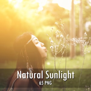Peut inclure: Un graphique numérique avec le texte Natural Sunlight 65 PNG, superposé sur le profil d'une personne aux cheveux longs portant un bandeau tressé, soufflant sur un pissenlit dont les graines se dispersent dans l'air sous une lumière vive.