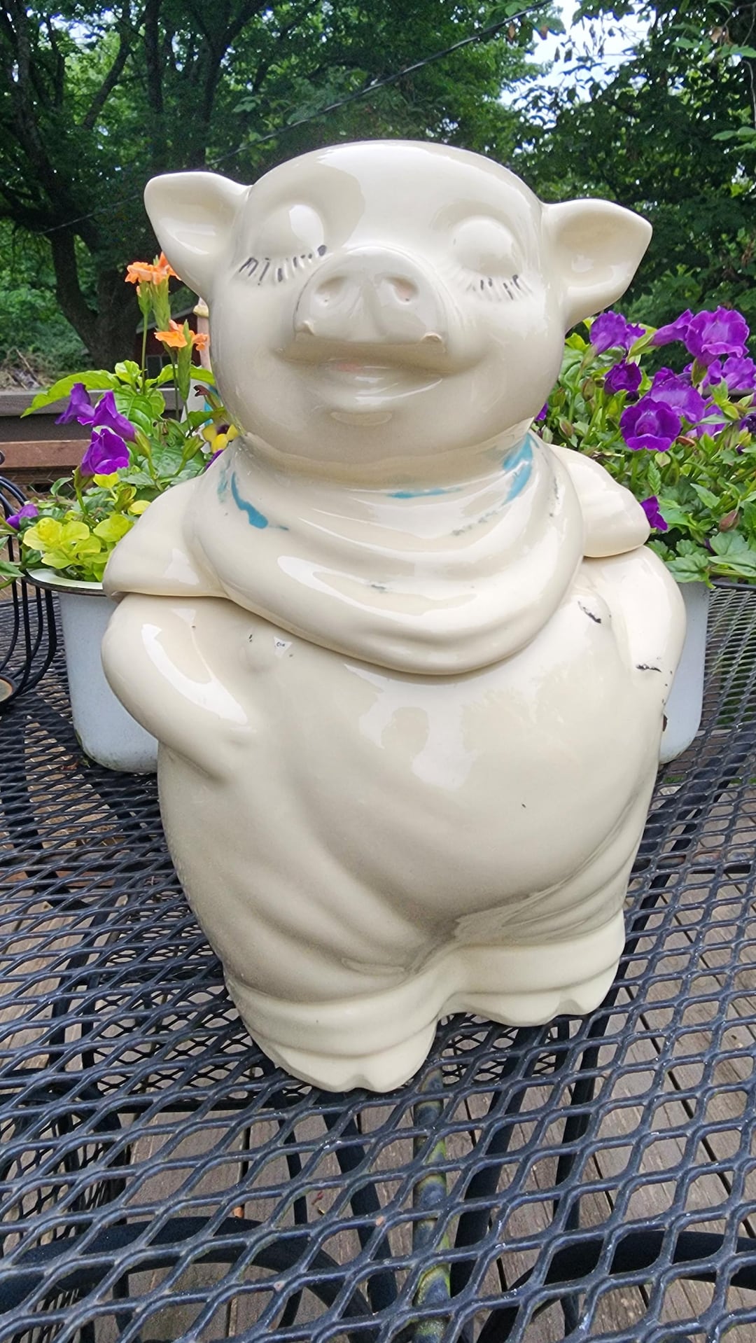 il_1080xN.6894055420_bqv5.jpg