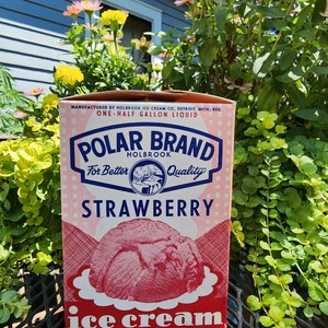 Vintage Polar Brand Ice Cream Box Container, Strawberry