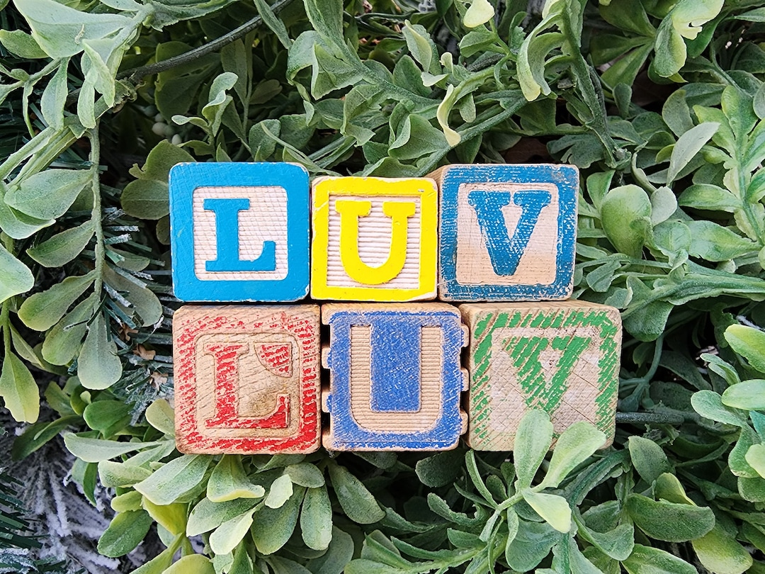 Vintage LUV Alphabet Block Word, Small Size Block Etsy