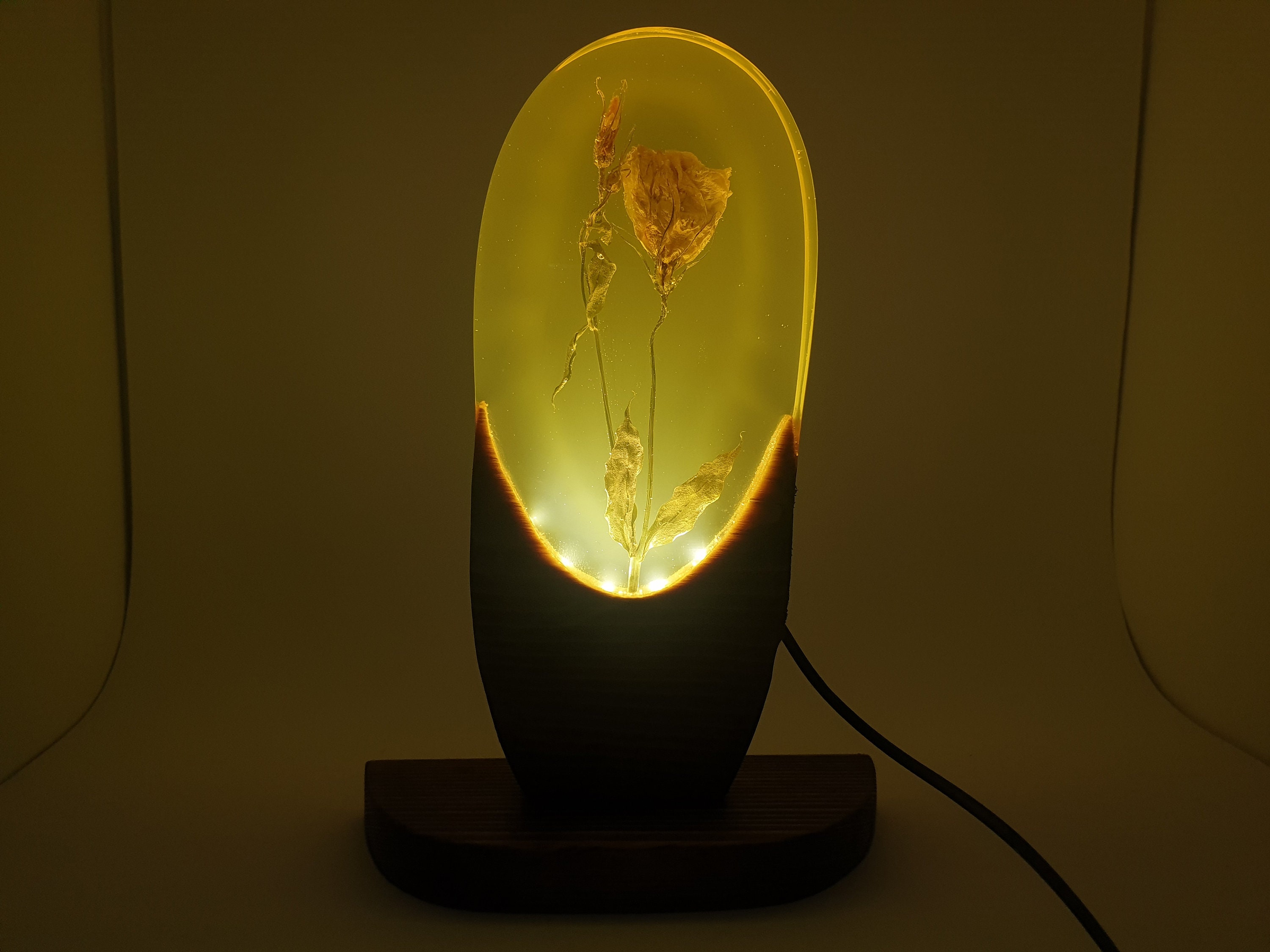 Resin Lamp With Real Dried Flower Nightlight Epoxy Lamp Etsy