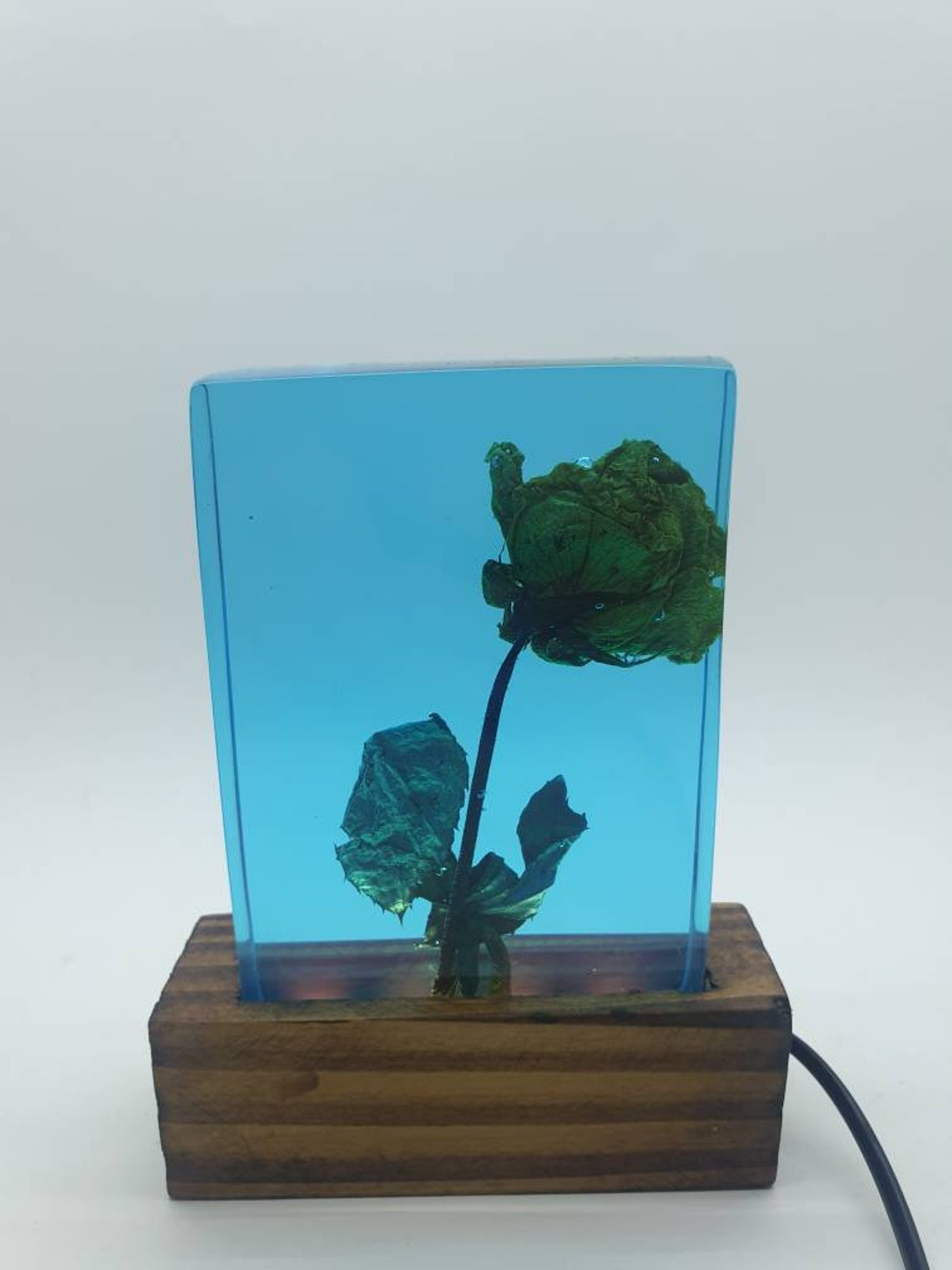 Resin Lamp With Dried Flower Epoxy Resin Lamp Night Light Etsy