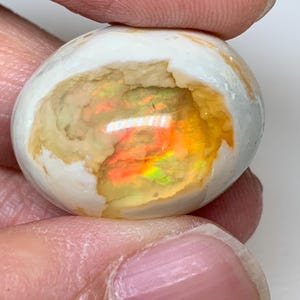 Puede incluir: Una piedra preciosa de ópalo blanco y beige, sostenida entre los dedos. El interior muestra un vibrante juego de colores, incluyendo naranja, amarillo y verde. La forma pulida y redondeada de la piedra resalta los colores internos.