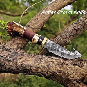 Handcrafted Damascus steel gut hook hunting knife with a genuine stag antler handle, brass guard, mosaic pin, and detailed patterned blade displayed on a rustic tree branch outdoors.