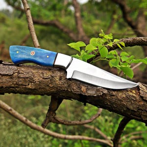 May include: A fixed-blade knife featuring a polished silver-toned metal blade and a smooth, bright blue handle. The handle is secured with two small brass pins and a central decorative mosaic pin featuring a circular pattern with red and white details.