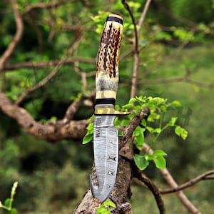 May include: A fixed-blade knife featuring a Damascus steel blade with a gut hook and the word WALTER etched vertically. The handle is crafted from textured brown and cream antler, accented with a brass bolster and a dark spacer near the pommel.