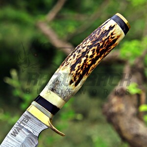 May include: A fixed-blade knife featuring a textured antler handle with dark brown and cream tones. The handle includes brass and black spacers near the bolster. The blade displays a distinct Damascus steel pattern and the name WALTER engraved.