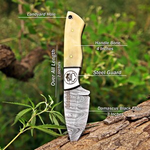 May include: A fixed-blade knife with a 3-inch Damascus steel blade and a 4-inch bone handle. The knife features a steel guard, a lanyard hole, and a total length of 7 inches. The blade and guard are marked with the text Monica.