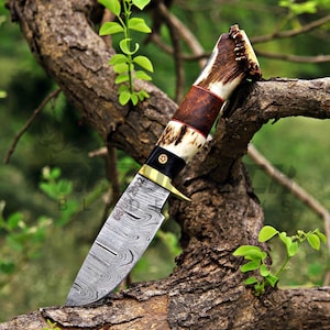 Damascus Skinner Knife With Personalized Blade And Real Antler Handle With Brass Guard, Handle Is Combination Of Bull Horn Wood And Antler