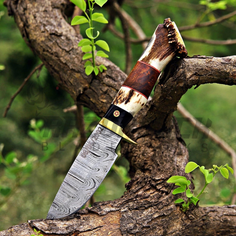 Damascus Skinner Knife With Personalized Blade And Real Antler Handle With Brass Guard, Handle Is Combination Of Bull Horn Wood And Antler