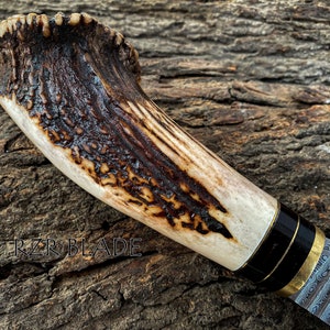 13" Handmade Damascus Hunting Knife With Antler Handle And Leather Sheath bild 6