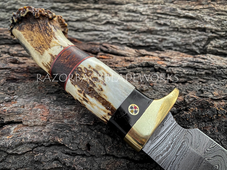 May include: A custom knife with a Damascus steel blade, a brass guard, and a handle crafted from textured antler and dark wood. The handle features a small circular inlay with four colored dots. The text RAZORBACKBLADEWORKS is visible.