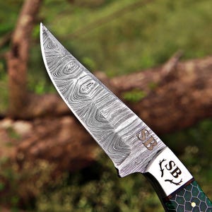 Handcrafted fixed-blade hunting knife featuring a Damascus steel blade with intricate layered patterns, SB engraving, polished bolster, and green honeycomb-pattern handle.
