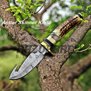 Handmade Damascus hunting knife with gut hook blade, real stag antler handle, brass guard, and detailed steel pattern showcased outdoors.