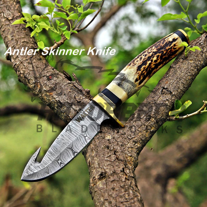 Handmade Damascus hunting knife with gut hook blade, real stag antler handle, brass guard, and detailed steel pattern showcased outdoors.