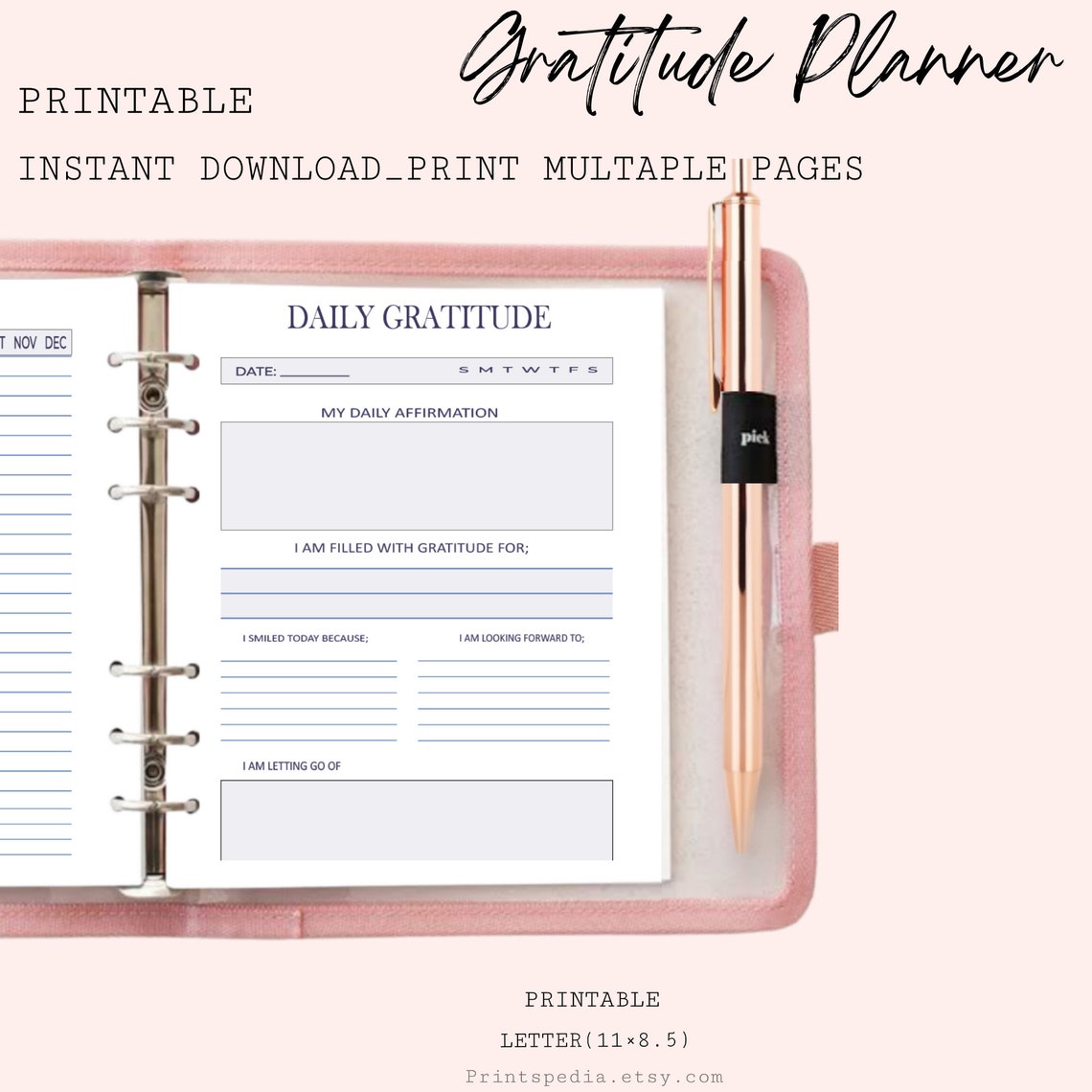 Gratitude Printable Planner, Gratitude Planner, Daily Gratitude Log ...