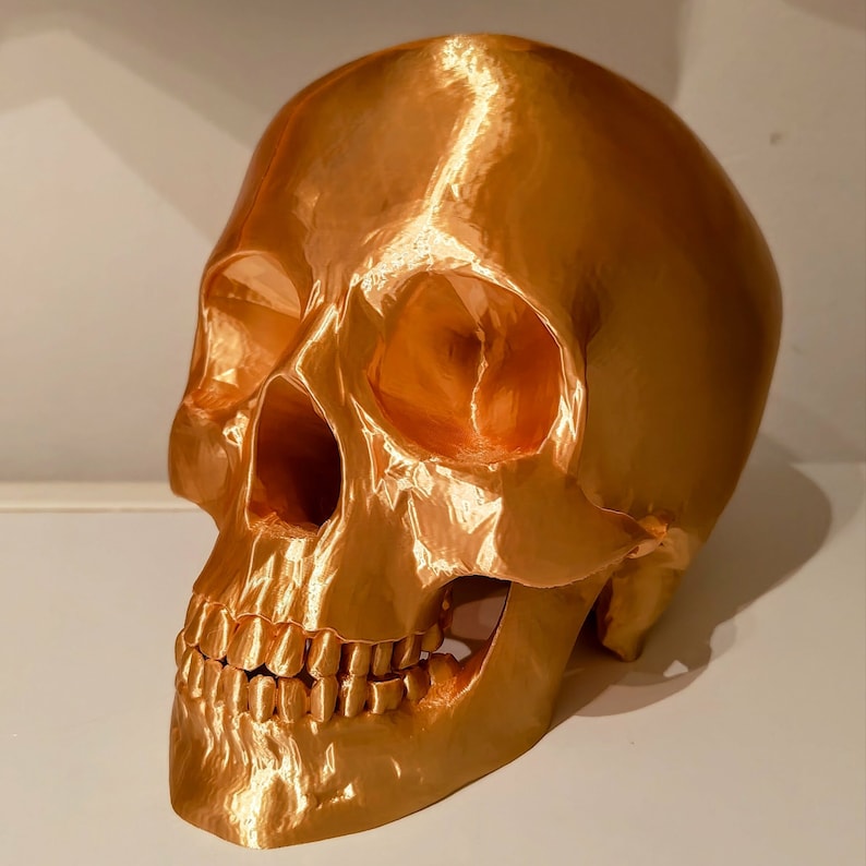 3D Printed Human Skull Replica | Unique Décor Piece