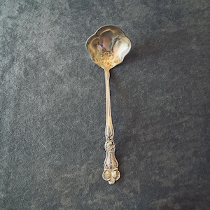 Puede incluir: Una cuchara de metal plateado con un cuenco festoneado en forma de concha y un diseño floral en relieve en la base. El mango está decorado con intrincados grabados de flores y volutas, terminando en un remate redondeado en forma de abanico.