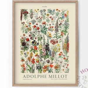 Adolphe Millot-poster, vintage bloemenprint, botanische muurkunst, bloemenmuurdecoratie, cadeau-idee, moderne boerderij