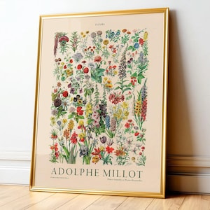Adolphe Millot Fleurs Print, Vintage Botanical Chart, Wildflower Field Guide, Cottagecore Wall Decor, Antique Floral Illustration 3-01