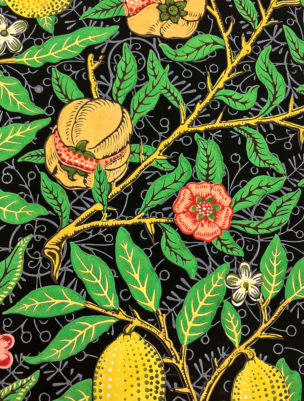 William Morris Print, Lemon Orange Fruit, Kitchen Wall Decor, Farmhouse  Decor, Summer Print, Spring Art, Citrus Print, Acanthus 62