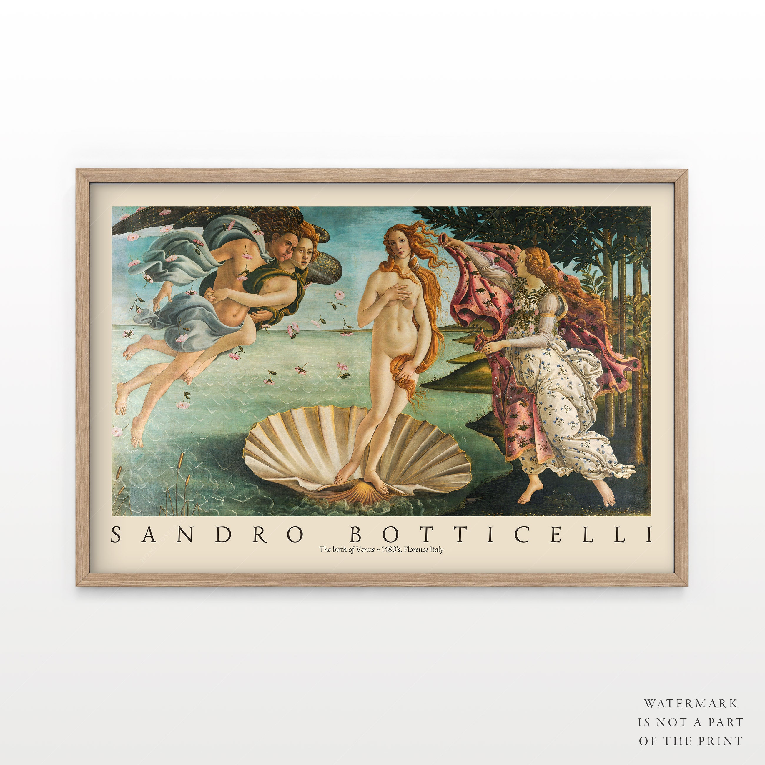 Кабанель рождение венеры. Рождение Венеры Боттичелли. Sandro Botticelli the Birth of Venus. Сандро Боттичелли рождение Венеры. Рождение Венеры картина кабанеля.