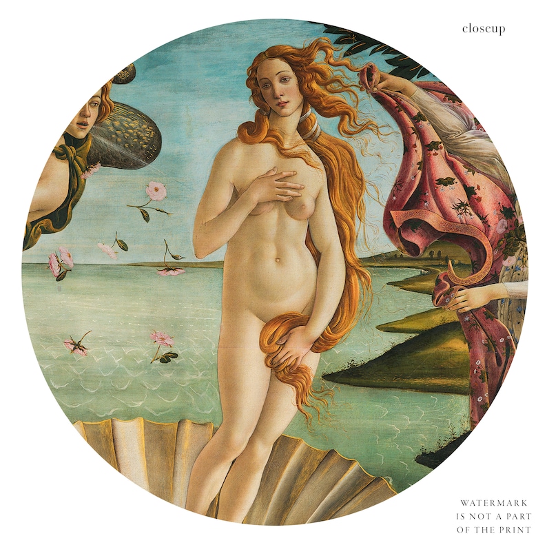 Botticelli Birth of Venus Print, Museum Quality image 8