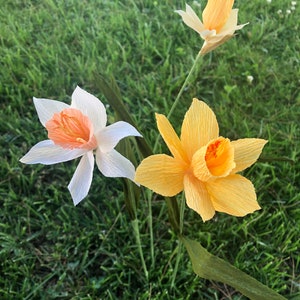 Handmade Crepe Paper Daffodils