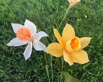Handmade Crepe Paper Daffodils
