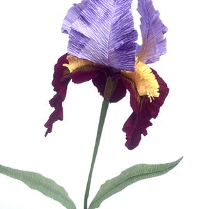 Handmade Crepe Paper Iris