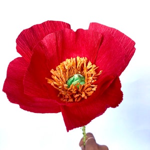 Crepe Paper Flowers- Poppy
