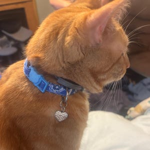 Handmade Fabric Cat Collar: Breakaway Safety Buckle, Floral & Bandana Designs